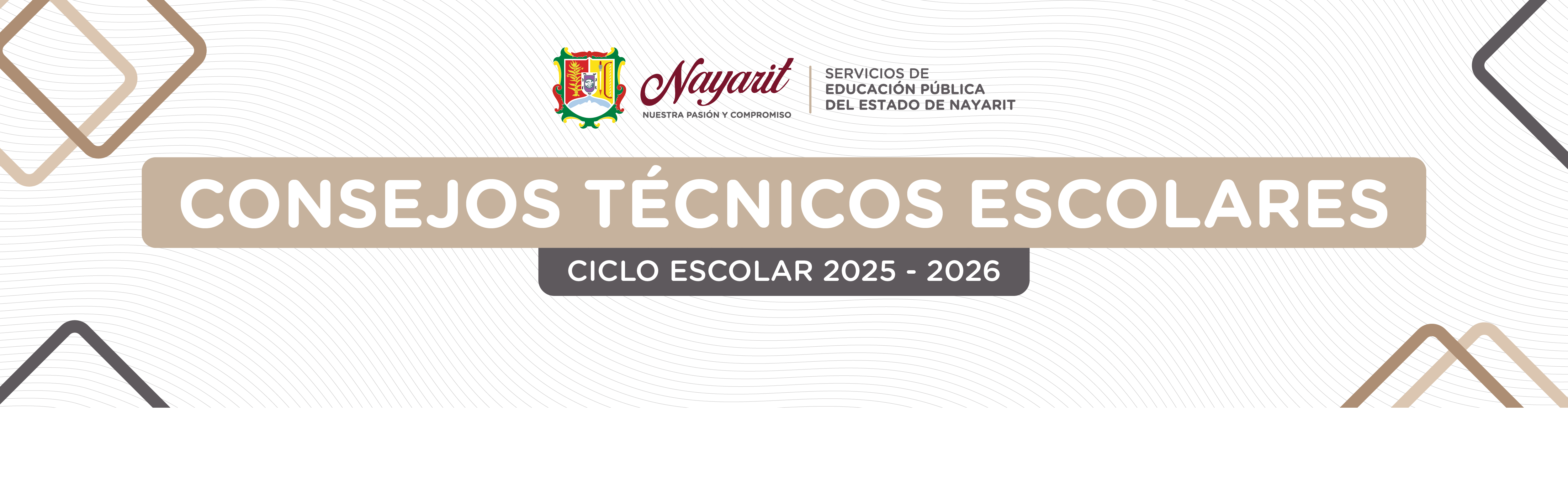 Consejo Técnico Escoalar